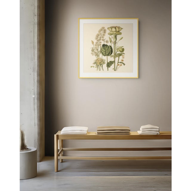 English Vintage Botanical Garden Study No. 14 | Botanical Wall Art in Dark Green & Cream For Sale - Image 3 of 3