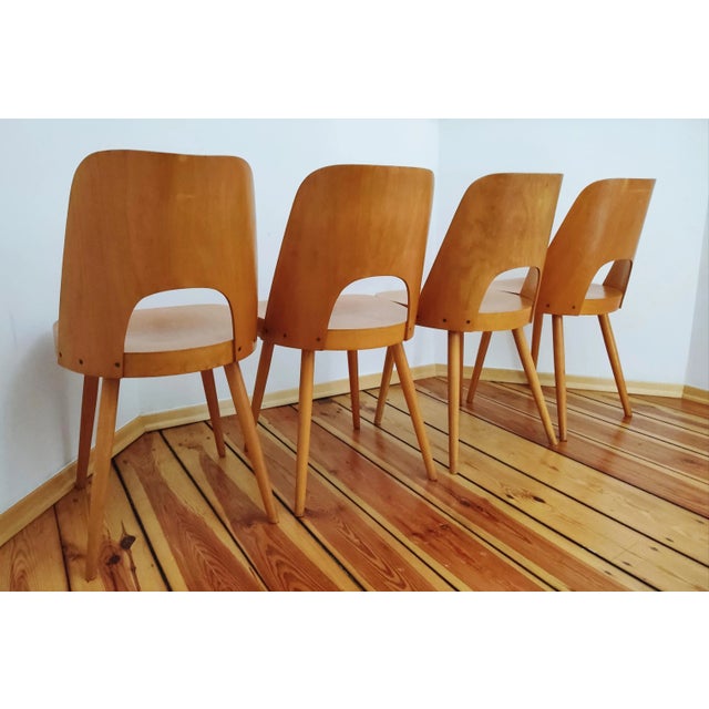 Czechoslovakian Chairs by O. Haerdtl for Ton, 1960s, Set of 4 For Sale - Image 9 of 13