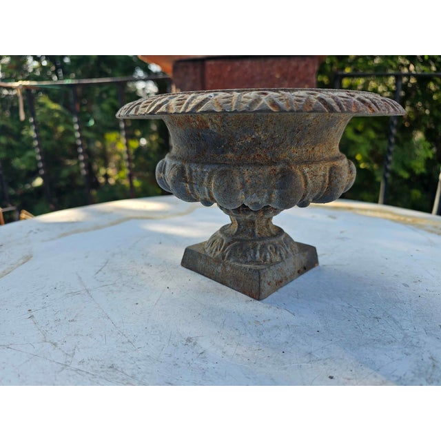 Cast Iron Flower Pot, 1890s For Sale - Image 6 of 6
