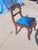 Vintage Craftique Solid Mahogany Carved "Rose Back" Side Chair - Freshly Reupholstered For Sale - Image 9 of 10