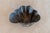 Vintage Iron Shell Dish For Sale In Miami - Image 6 of 9