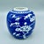 Antique Chinese blue and white prunus ginger jar with hand-painted decoration on a cracked ice ground, in the Kangxi...