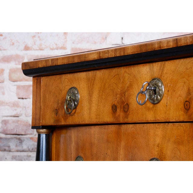 Wood Empire Chest of Drawers in Walnut, 1820s For Sale - Image 7 of 18