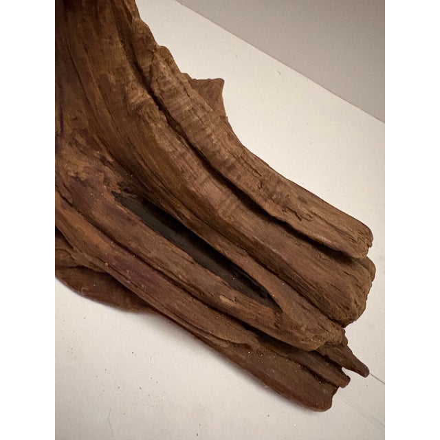 Organic Root Wood Sculpture – Natural Driftwood Object – Organic Modern Decor For Sale - Image 4 of 10