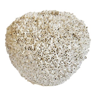 Vintage White Barnacle Shell Pot For Sale