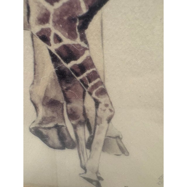 Vintage Evelyn Gross ‘Aisha & Mother’ Brookfield Zoo Chicago Numbered Giraffe Lithograph 60/1000 For Sale - Image 9 of 12