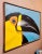 Campos - Portrait of a Toucan Bird -1960s Oil Painting For Sale In Los Angeles - Image 6 of 7