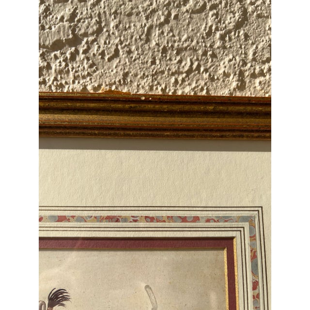 White 1992 Ldv01 and Ldv02 From the Book of Costumes of Lambert De Vos 1574 Framed Artwork, the Quintessa Art Collection For Sale - Image 8 of 12