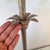 1970s Traditional Silver Metallic Table Lamp With Beige Bell Fringe Shade For Sale - Image 4 of 11