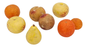Mid 20th Century Unpolished Stone Fruit - 8 Pieces