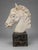 Grand Tour Grand Tour–Style Marble Horse Head on a Marble Plinth, Italian C. 1900 For Sale - Image 3 of 14