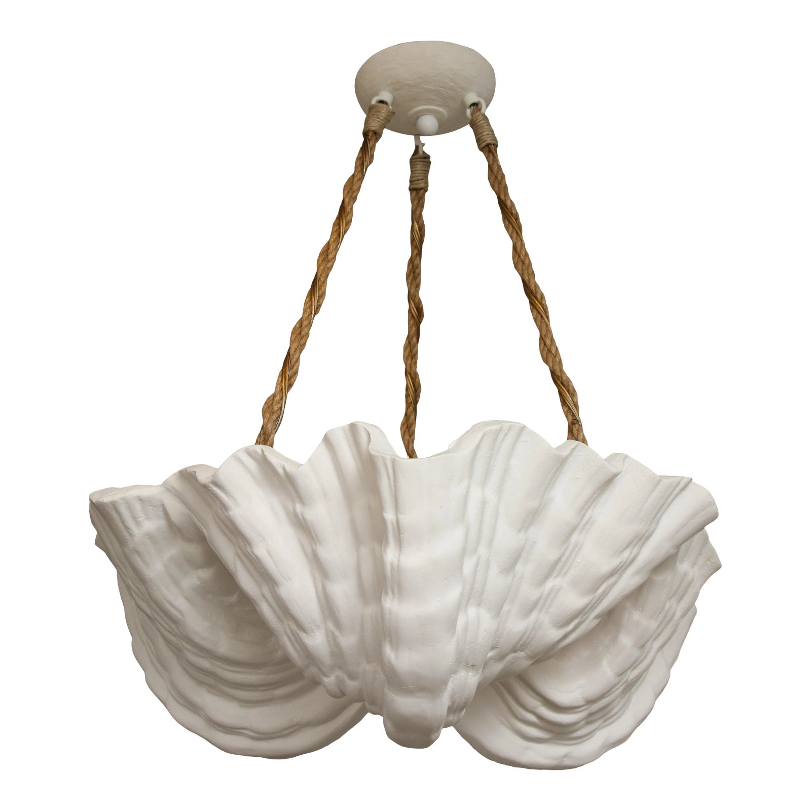 Bespoke Coquillage Plaster Fixture | Chairish
