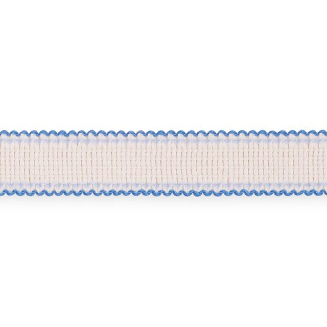 Sample - Schumacher Filippa Tape Indoor & Outdoor in Delft For Sale