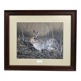 Charles Fracé “My Friend – Eastern Cottontail” Limited Edition Wildlife Print For Sale