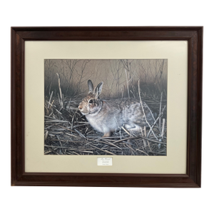 Charles Fracé “My Friend – Eastern Cottontail” Limited Edition Wildlife Print