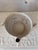 Early 20th Century Italian Wabi-Sabi Basin For Sale - Image 6 of 11