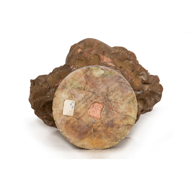 French Antique Terracotta Bust of Compte D’Artois by Fernand Cianciani For Sale - Image 18 of 18