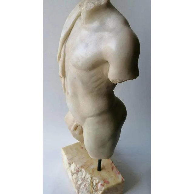 Early 20th Century Italian Sculpture in Carrara Marble Torso For Sale - Image 4 of 7