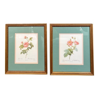 Late 20th Century Pierre-Joesph Redoute’ Rose Botanical Framed Prints- Pair For Sale