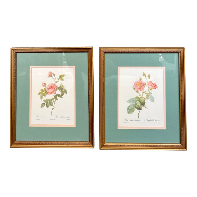 Late 20th Century Pierre-Joesph Redoute’ Rose Botanical Framed Prints- Pair For Sale