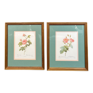Late 20th Century Pierre-Joesph Redoute’ Rose Botanical Framed Prints- Pair