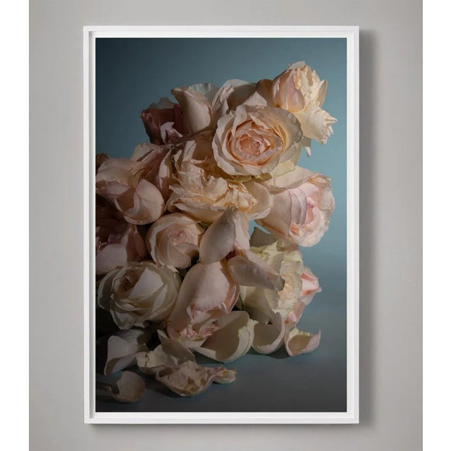 Contemporary Still Life of Roses Photograph For Sale - Image 3 of 3