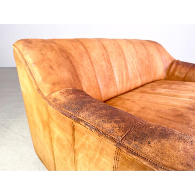 DS44 2-Seater Sofa in Buffalo Leather from de Sede For Sale - Image 4 of 11