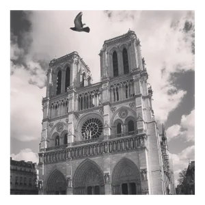 Justyna Napiórkowska, Notre Dame De Paris, 2019