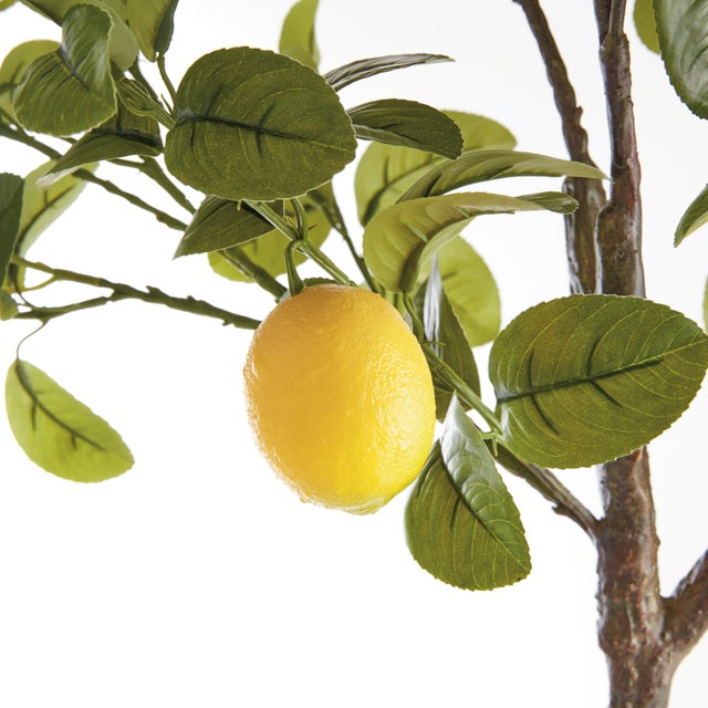 Made to look 100% realistic you, d swear this Lemon Tree Dropin was potted this morning. Pair with your favorite cachepot...