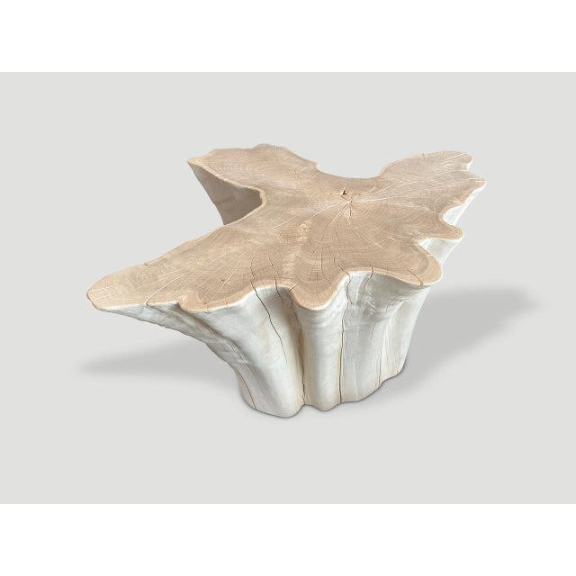 Andrianna Shamaris Amorphous Bleached Teak Wood Coffee Table For Sale - Image 18 of 18
