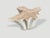 Andrianna Shamaris Amorphous Bleached Teak Wood Coffee Table For Sale - Image 18 of 18