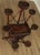 Antique 19th Century 7 Arm Hickory Twig Plant Stand For Sale In Philadelphia - Image 6 of 13