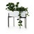 Slim legs of dark brass-finished iron support an inset planter of glossy white iron. Comfortably holds three large plants....