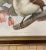 Framed Lithograph from J. Smith who was a Dutch zoological illustrator. Paradisea Minor This piece was done in 1873. This...
