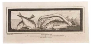 Carlo Oraty, Decoration with Animals, Etching, 18th Century