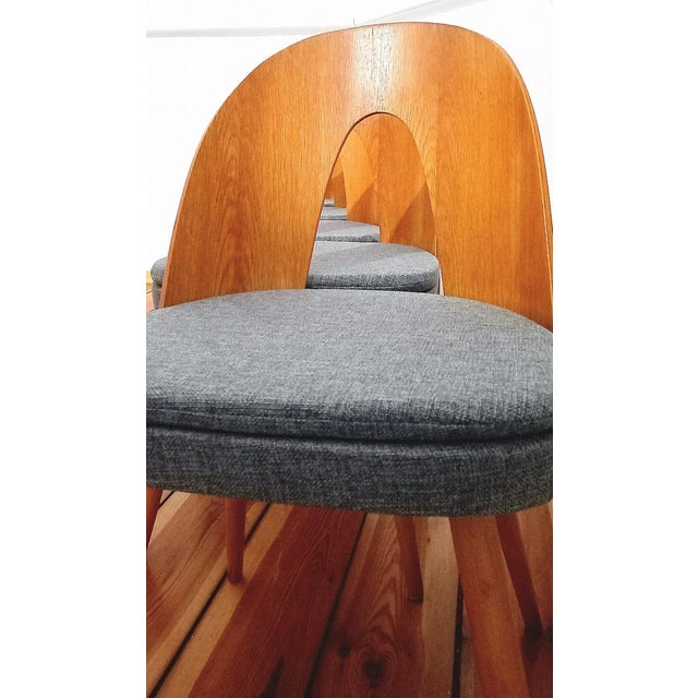 Czechoslovakian Chairs attributed to A. Suman for Tatra Nabytok, 1960s, Set of 5 For Sale - Image 17 of 18