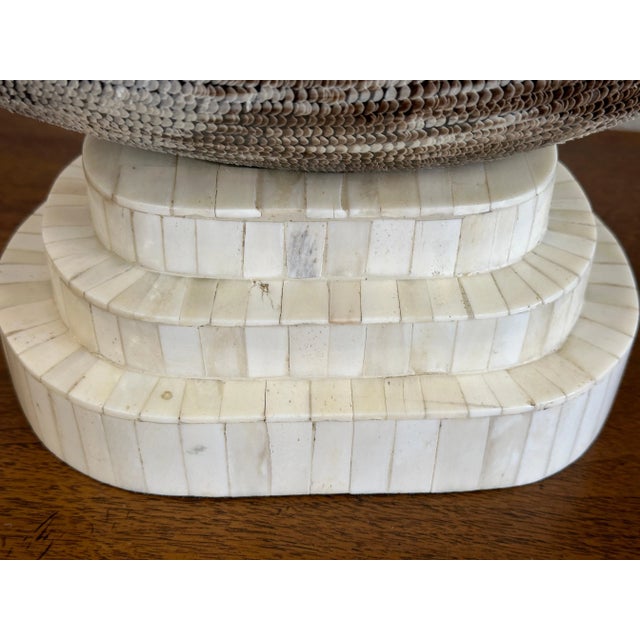 Beige 1980s Carved Etched Horn Mounted on a Tessellated Bone Base For Sale - Image 8 of 12