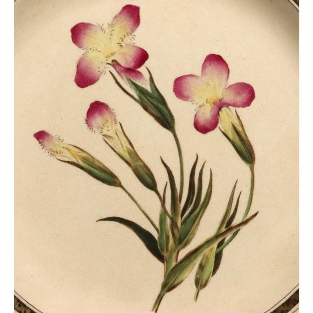 Ceramic Wedgwood Creamware Botanical Specimen Plate With Pink Flowers and Brown Printed Border Dated 1862 For Sale - Image 7 of 11