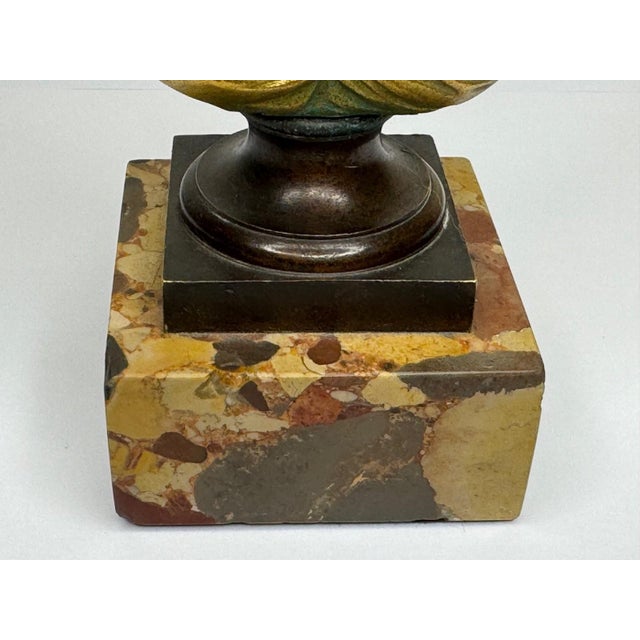 Late 19th Century Bronze Small Portrait Bust of Diana De Poitiers, After Jean-Antoine Houdon For Sale - Image 4 of 18