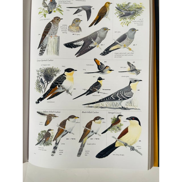 Contemporary 1980s Birds of Europe Coffee Book For Sale - Image 3 of 7