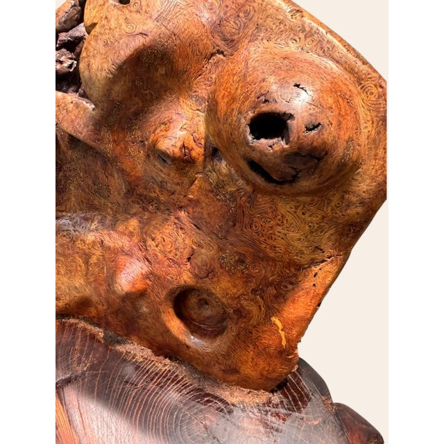 Vintage Burl Root Wood Abstract Sculpture Live Edge Base Organic Modern 17" For Sale - Image 14 of 15