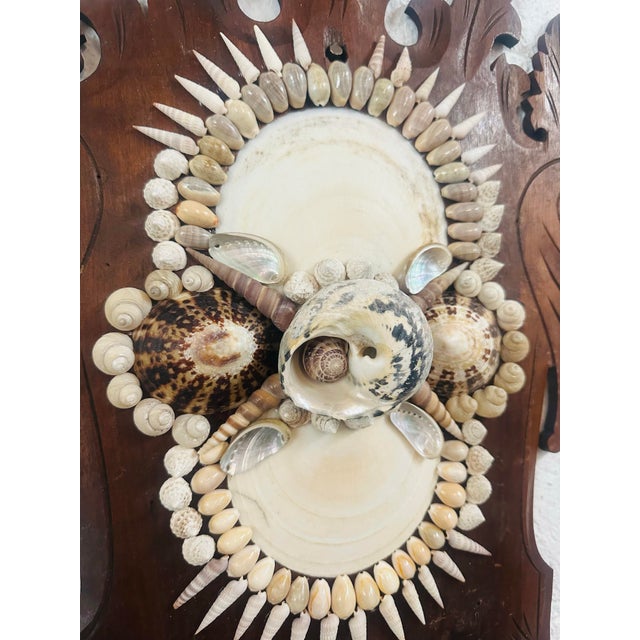 A striking handcrafted shell art wall plaque featuring an elaborate arrangement of natural seashells mounted on an antique...