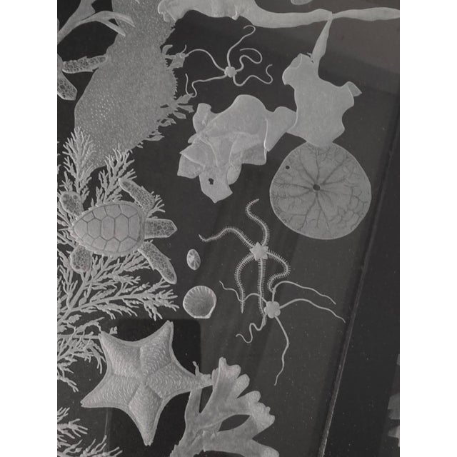 Hand Engraved Sea Life Glass and Metal Coffee Table For Sale - Image 4 of 15