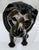 Mid 20th Century Vintage African Hand-Carved Hardwood Lion Sculpture by Nguma For Sale - Image 5 of 10
