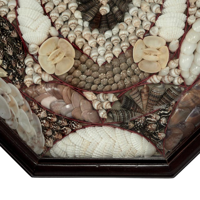 Wood Vintage Sailors Valentine For Sale - Image 7 of 9