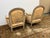 19th Century 19th Century Delmar Chinoiserie Printed Bergere Chairs, Pair For Sale - Image 5 of 12