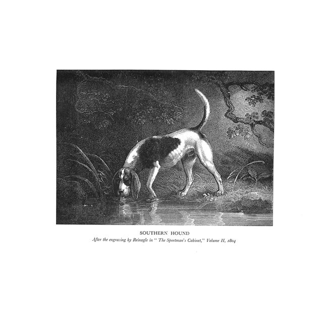 "Foxhunting Theory and Practice" 1948 Higginson, A. Henry For Sale - Image 9 of 12