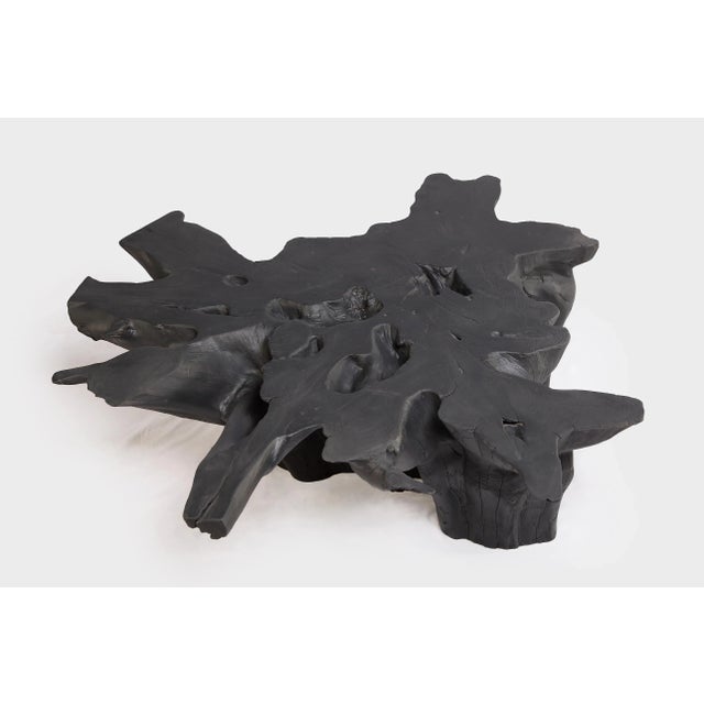Black Burnt Organic Teak Root Coffee Table 75 For Sale - Image 4 of 6