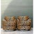 Vintage Leopard Print Velvet Swivel Chairs - A Pair For Sale - Image 10 of 12