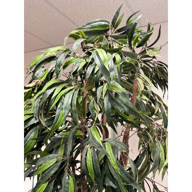 Faux Mango Tree + Tapered Black Planter For Sale In San Francisco - Image 6 of 12